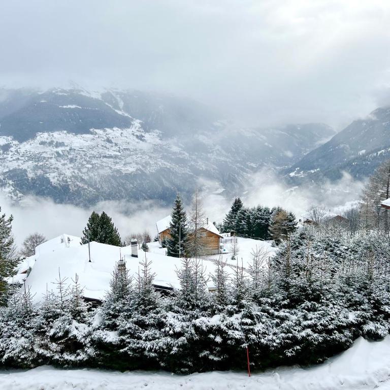 Luxury chalet apartment 4 Valleys - Appartement 2 Chambres Deluxe - 52