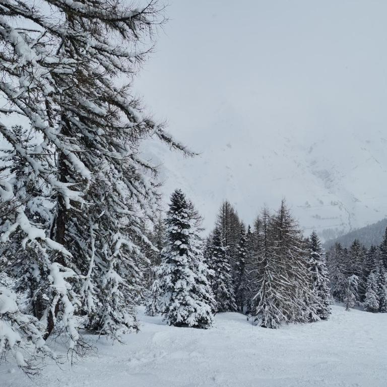 Gite Le Snow au coeur de Barèges ski et randonnées - Casa con 6 Camere da Letto - 30