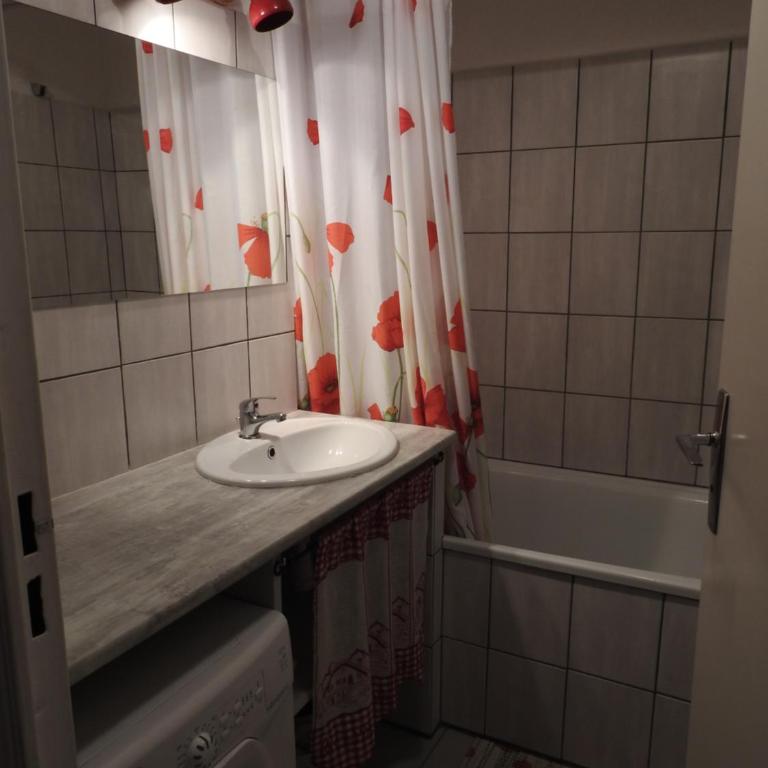 studio aux pieds des cimes - Appartement 1 Chambre - 2