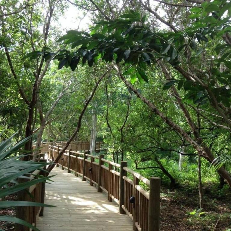 2BD Grand Bliss Vidanta Resort Riviera Maya - Apartment - 37