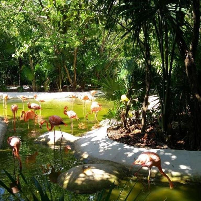 2BD Grand Bliss Vidanta Resort Riviera Maya - Apartment - 24