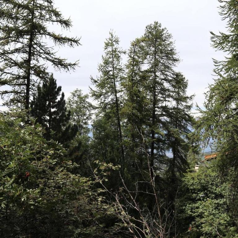 Résidence Chal. Les Chandelles - CHALET Les Chandelles 11 Pers. PIED PISTES MAE-6521 - Chalet - 23