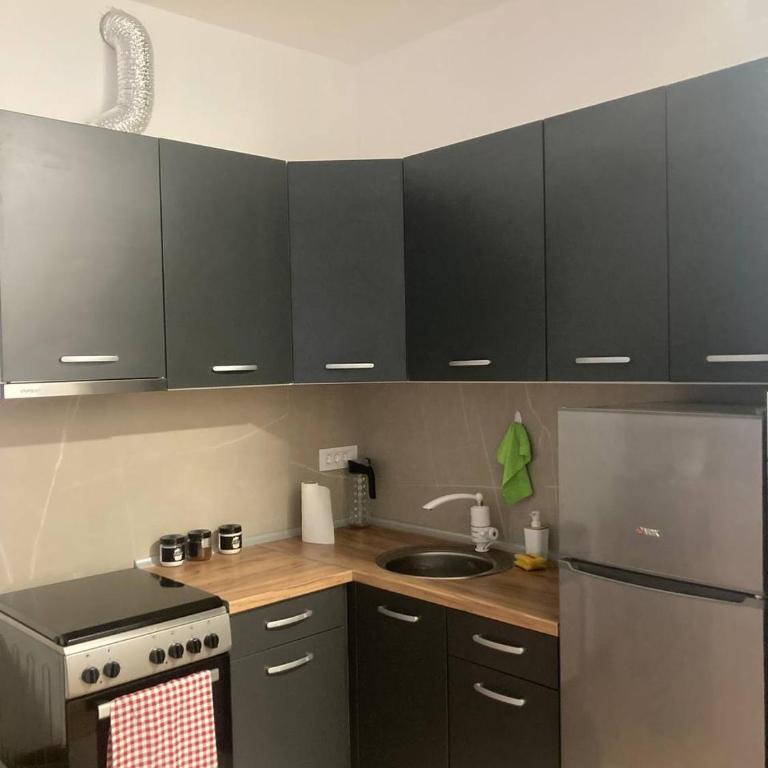 Apartmani Novi Sad Center - Apartman sa 1 Spavaćom Sobom - 4