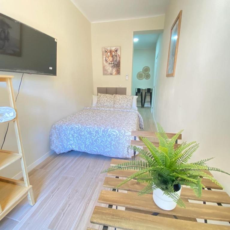 ESTUDIOS GRAN VÍA - One-Bedroom Apartment - 24