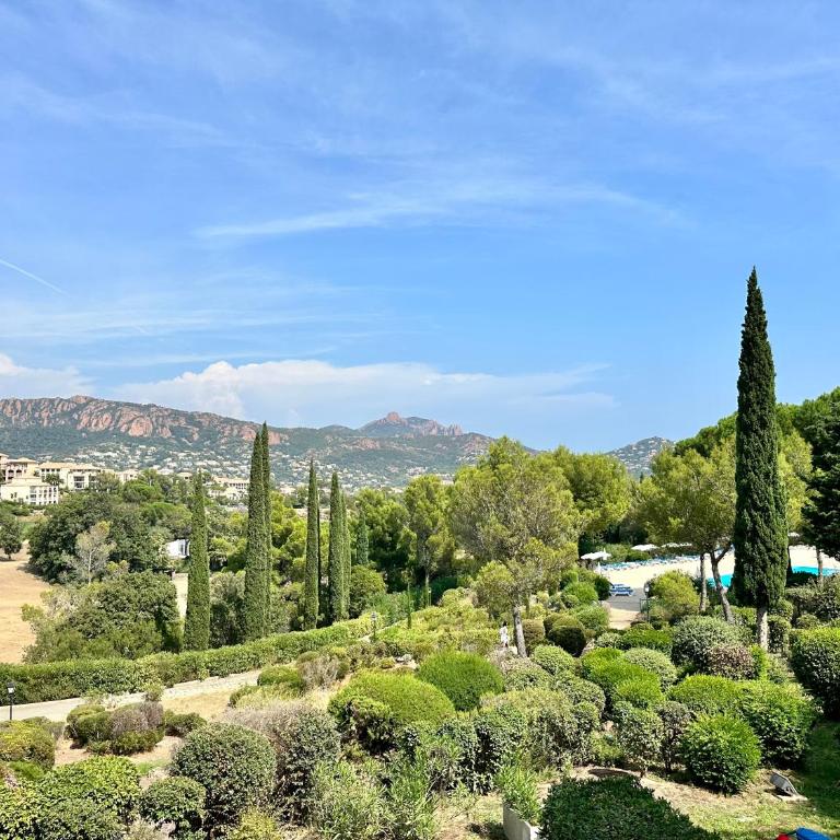 La Méditerranée comme vous l'aviez rêvée - Apartamento de 1 dormitorio - 14