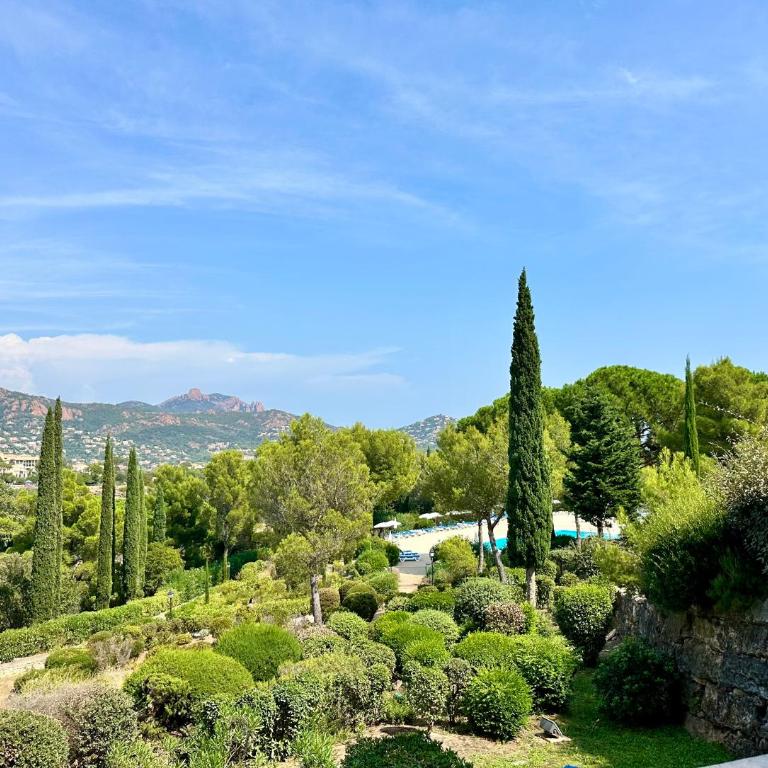 La Méditerranée comme vous l'aviez rêvée - Apartamento de 1 dormitorio - 16
