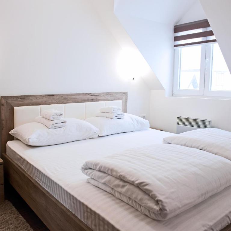 Apartman Maximus Kraljevi Čardaci - Apartman sa 1 Spavaćom Sobom - 5