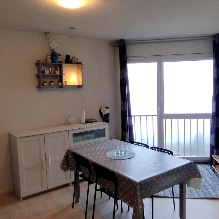 Studio cosy aux Adrets-Prapoutel, pied des pistes, ascenseur, TV et casier à ski - Appartement 1 Chambre - 10