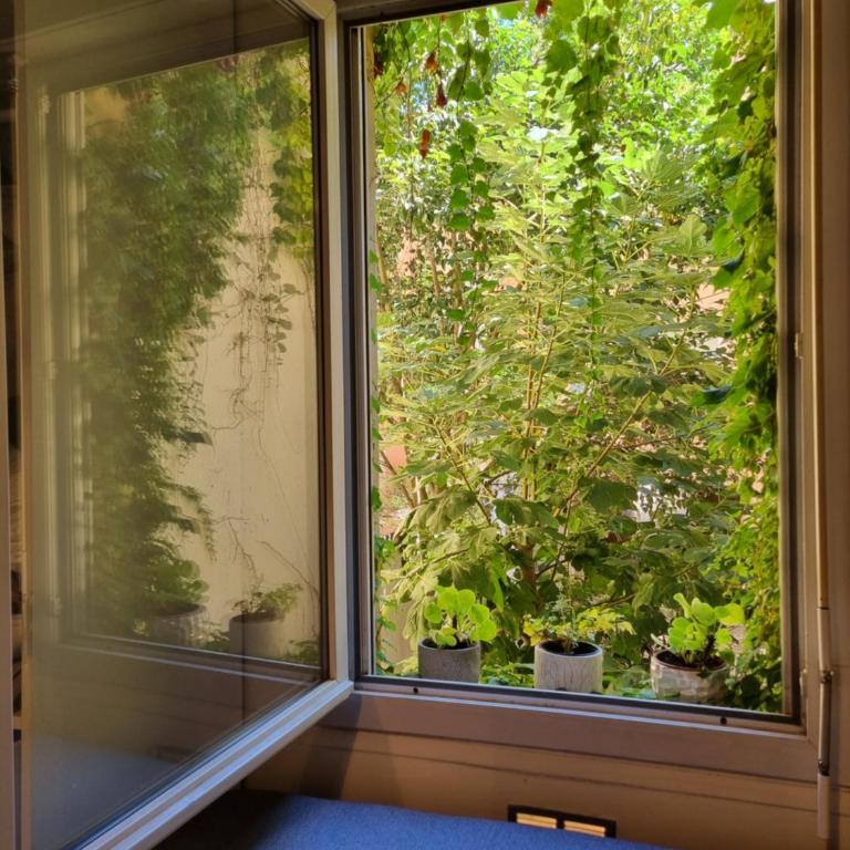 La Maison de Maila - Appartement 1 Chambre - 4