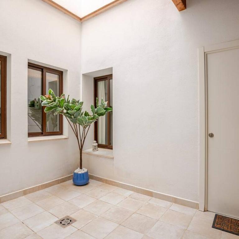 Beautiful Ground Floor Duplex in the heart of Seville - Apartamento de 2 dormitorios - 21