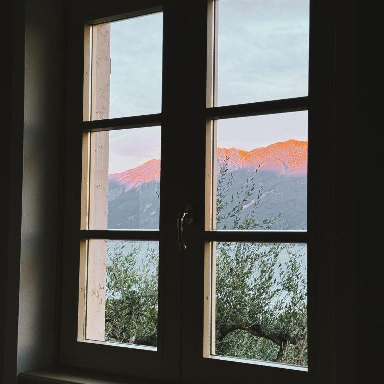 Appartamento Cristol - Appartement 1 Chambre - 56