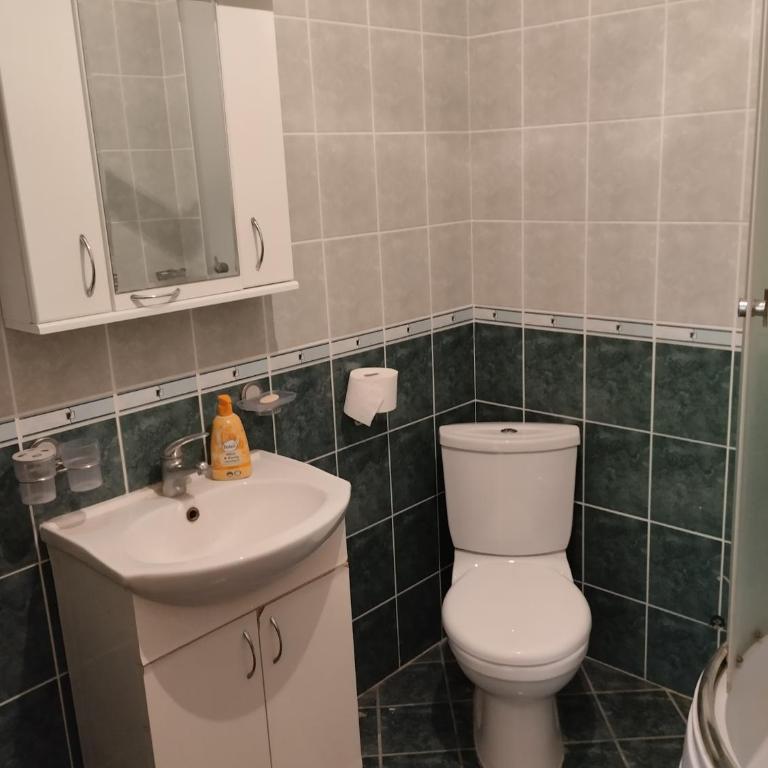 Studio Centar-Vračar - Porodični Studio - 15