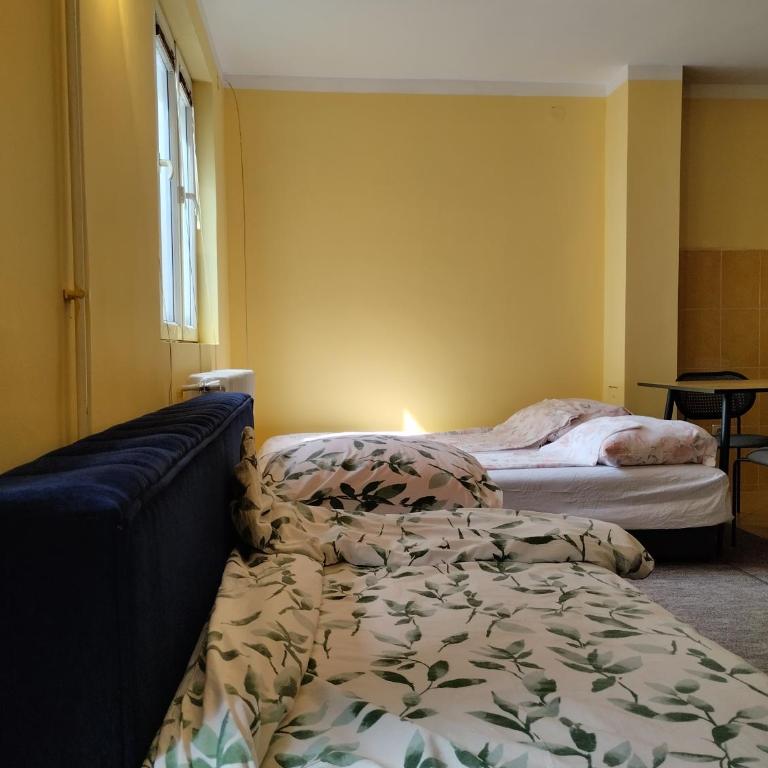 Studio Centar-Vračar - Porodični Studio - 1