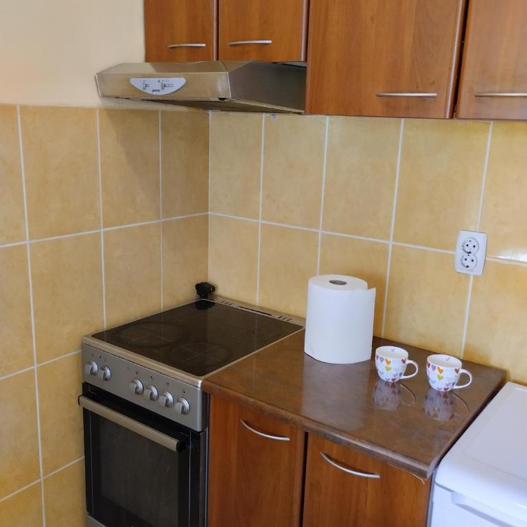 Studio Centar-Vračar - Porodični Studio - 11