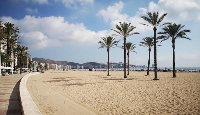 NUEVO, a 90 metros de la playa y con vistas al mar - Three-Bedroom Premium Apartment - 37