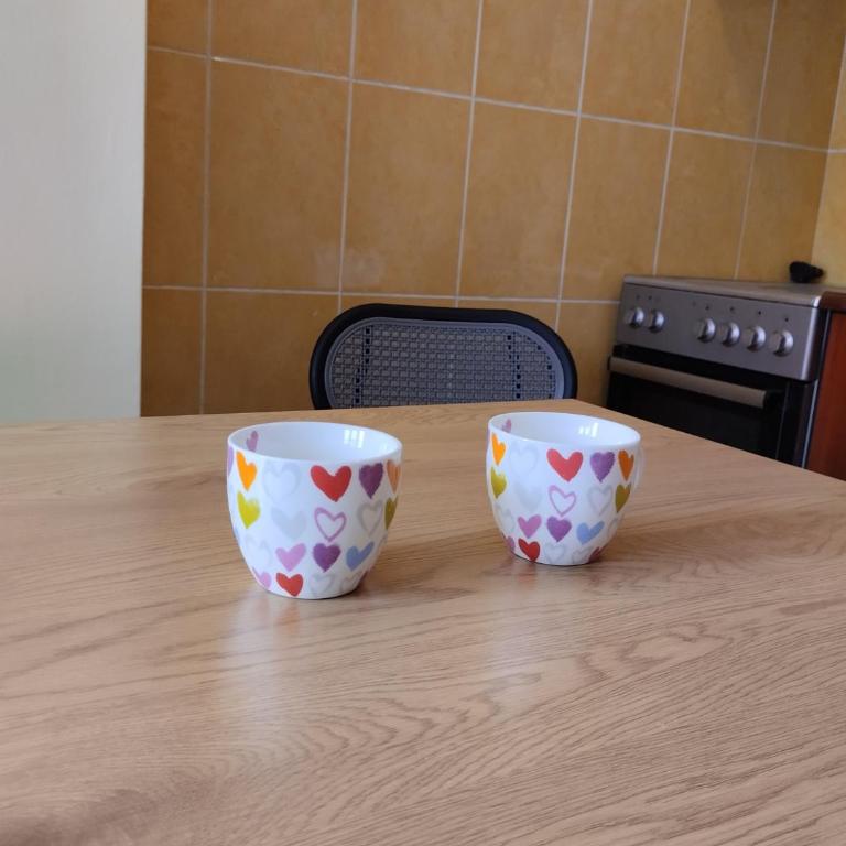 Studio Centar-Vračar - Porodični Studio - 10