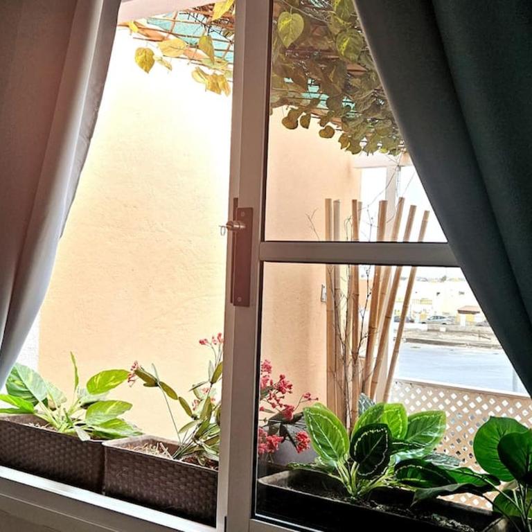 Esmeralda Sunny Relax - One-Bedroom Apartment - 29