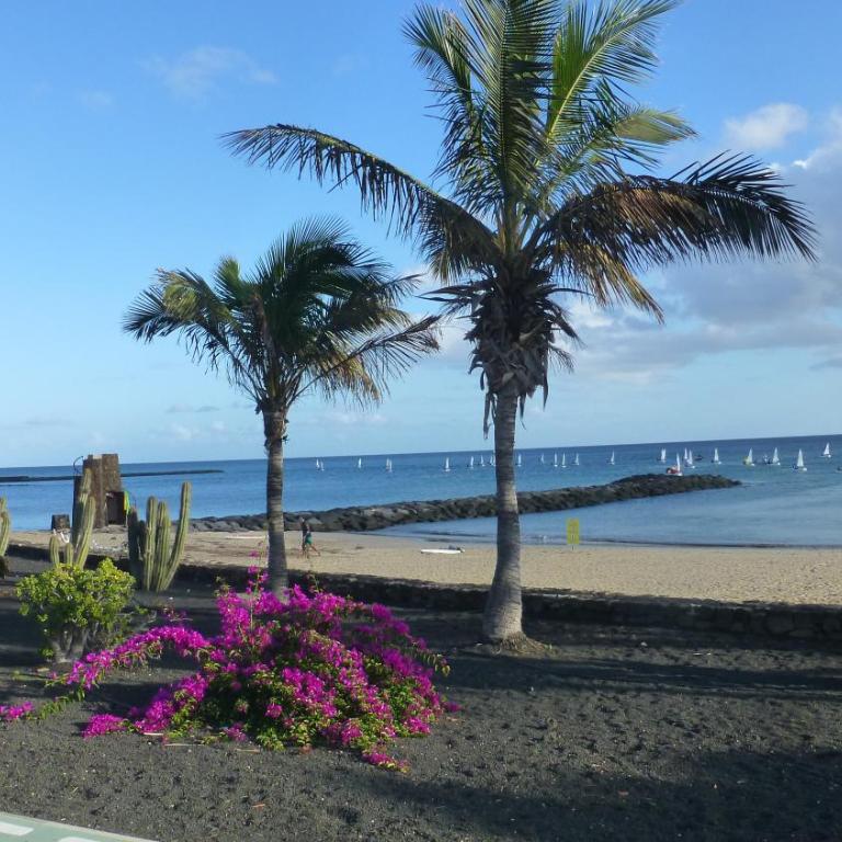Lanzarote Beachfront Apartment on Las Cucharas Beach with a sea view - Apartamento de 1 dormitorio - 26