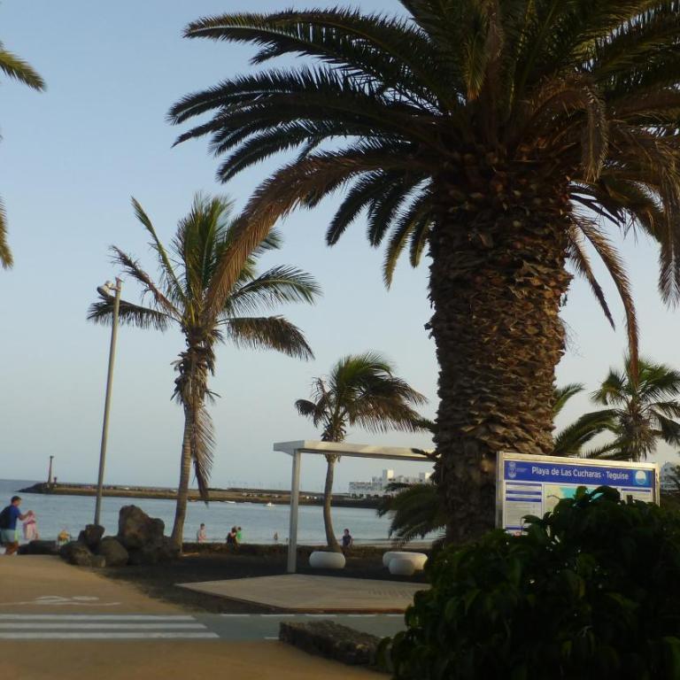 Lanzarote Beachfront Apartment on Las Cucharas Beach with a sea view - Apartamento de 1 dormitorio - 27