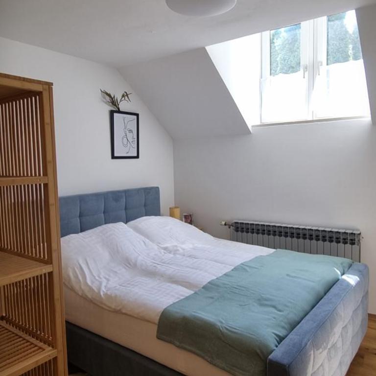 Apartments in Graz - Studio mit Balkon - 10