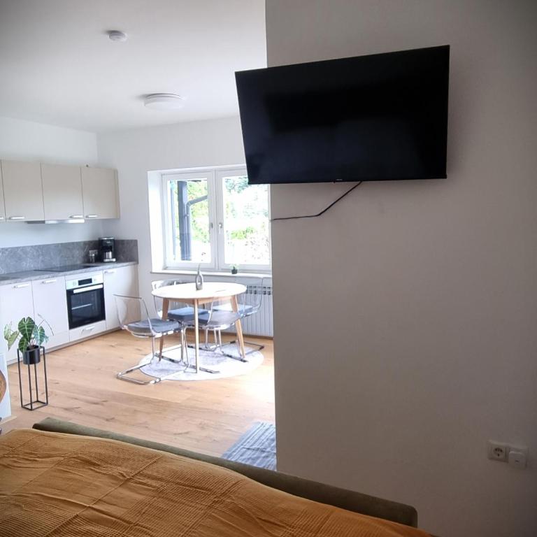 Apartments in Graz - Studio mit Terrasse - 10
