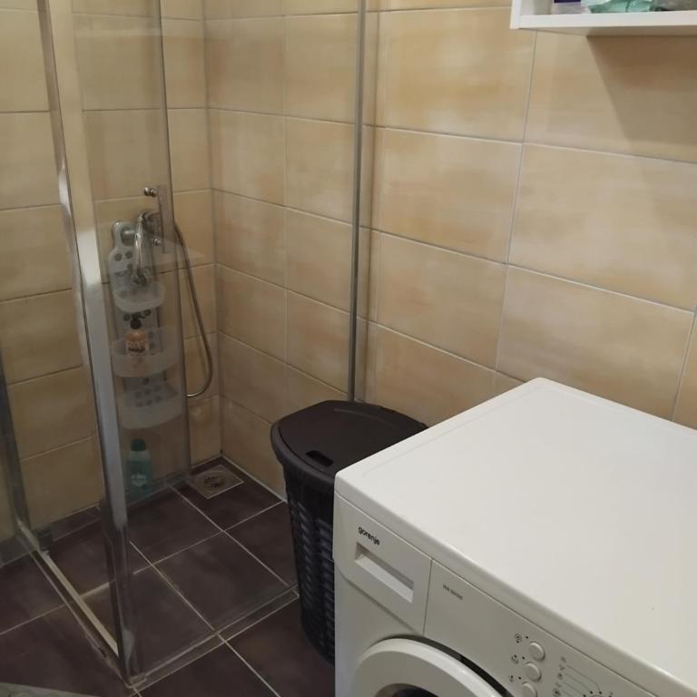Bazen - One-Bedroom Apartment - 19