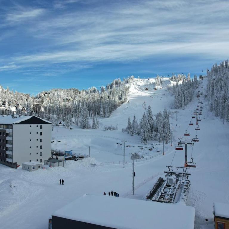 Jahorina Winter Wonderland - Apartman sa 1 Spavaćom Sobom - 19