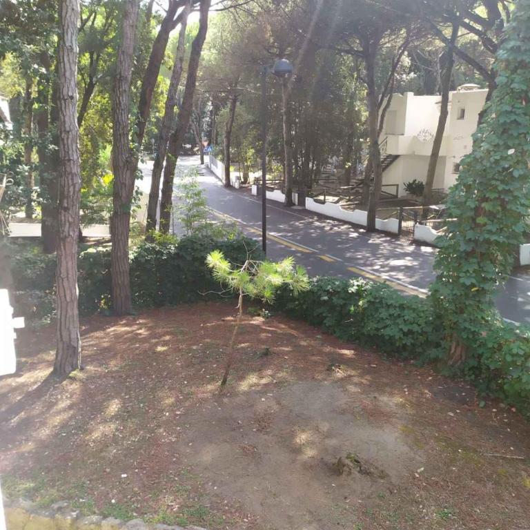 Holiday home in Rosolina Mare 25059 - Casa Vacanze - 6