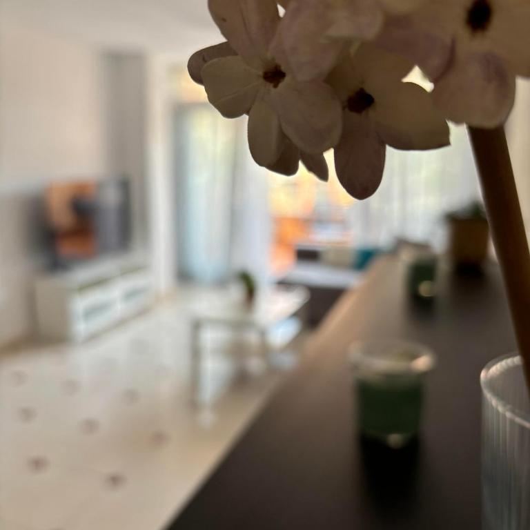 Piso céntrico con parking privado y terraza super - Apartamento - 18