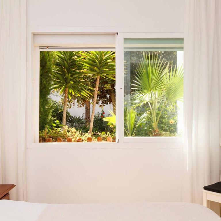 Avalon Apt Costalita Close To The Beach And Golf - Apartment - 12
