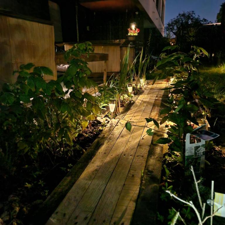 Escale Romantique - Appartamento con 1 Camera da Letto - 32