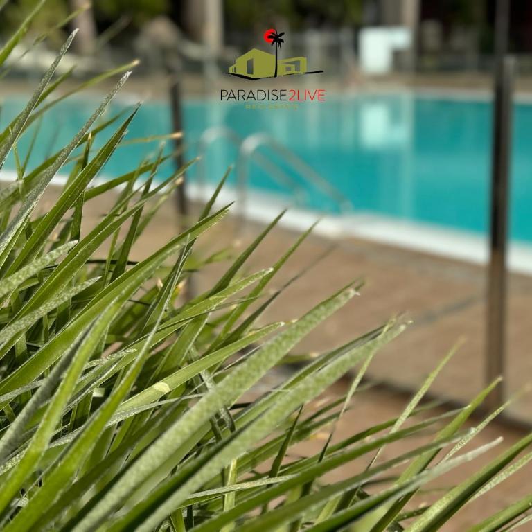 CactusVibes Cotillo - Apartamento de 1 dormitorio - 2