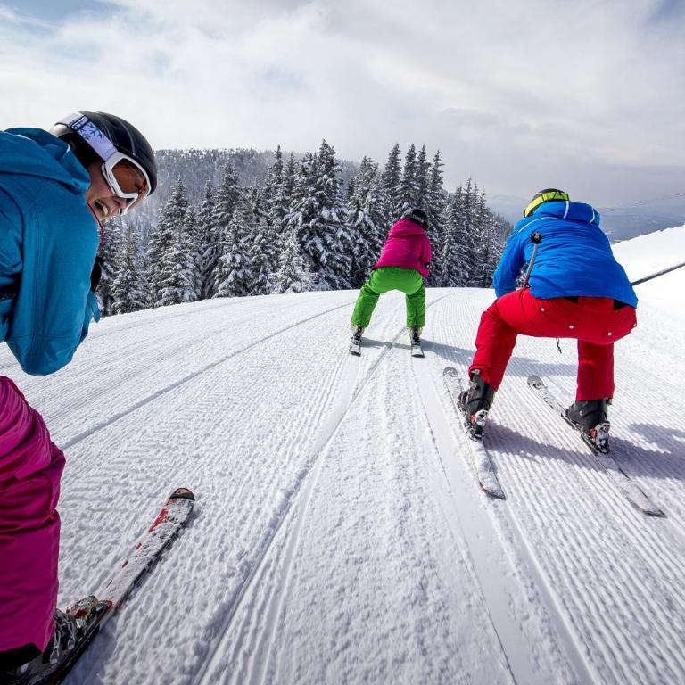 Naturpark Chalets Lambrecht by ALPS RESORTS - Chalet with Sauna 30 - 10