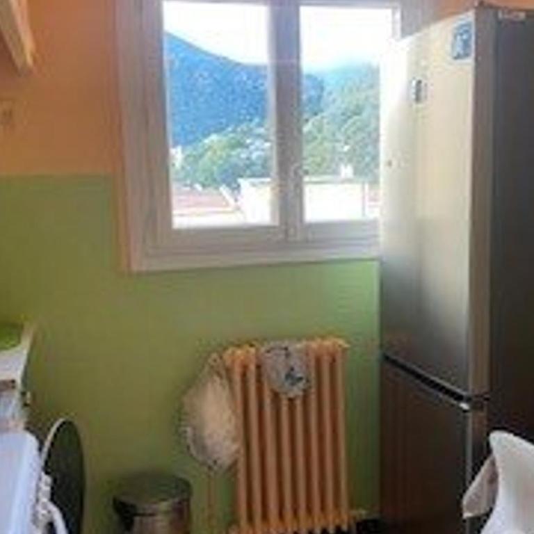Charmant F2 à Amélie-les-Bains avec terrasse, parking et Wi-Fi, proche thermes et centre-ville - Appartement 1 Chambre - 7