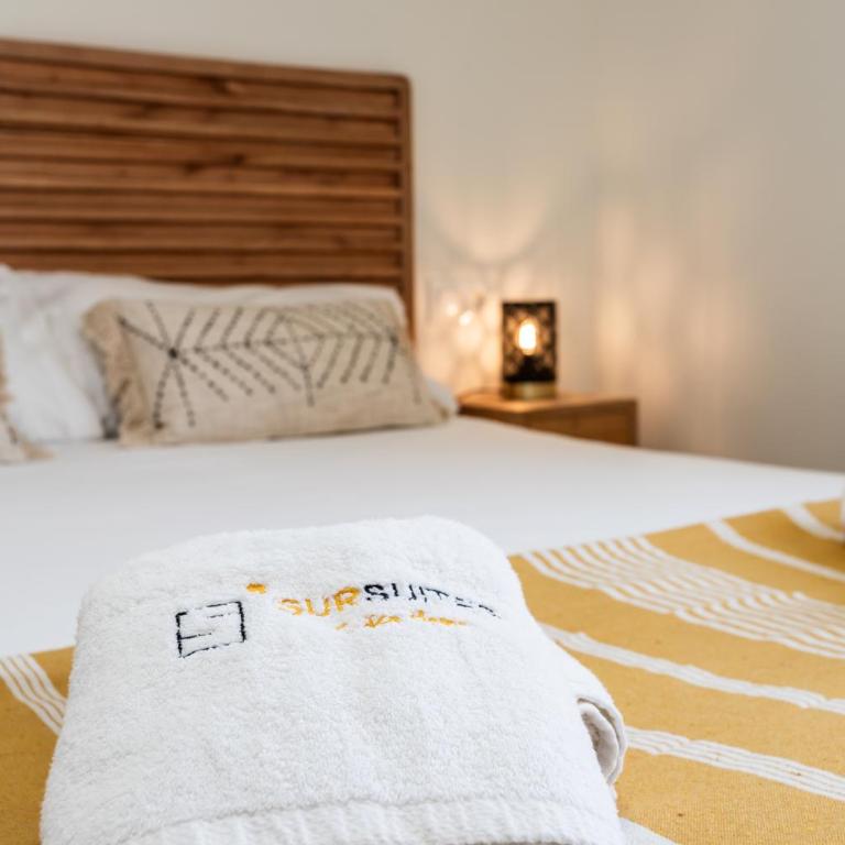 Sur Suites Palmeras 4 - Apartamento de 2 dormitorios - 24