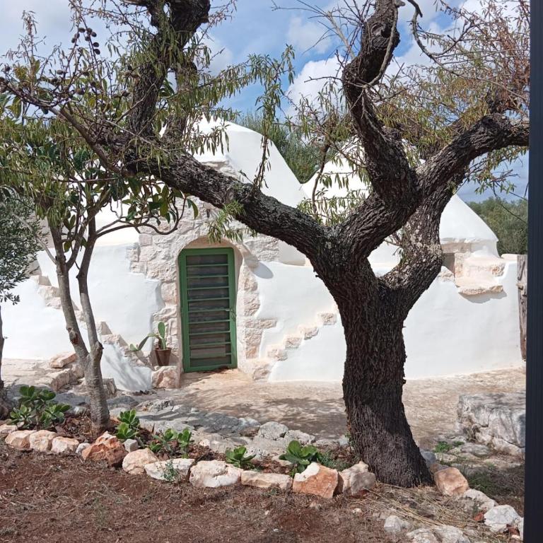 Trullo Amedee - Casa con 2 Camere da Letto - 5