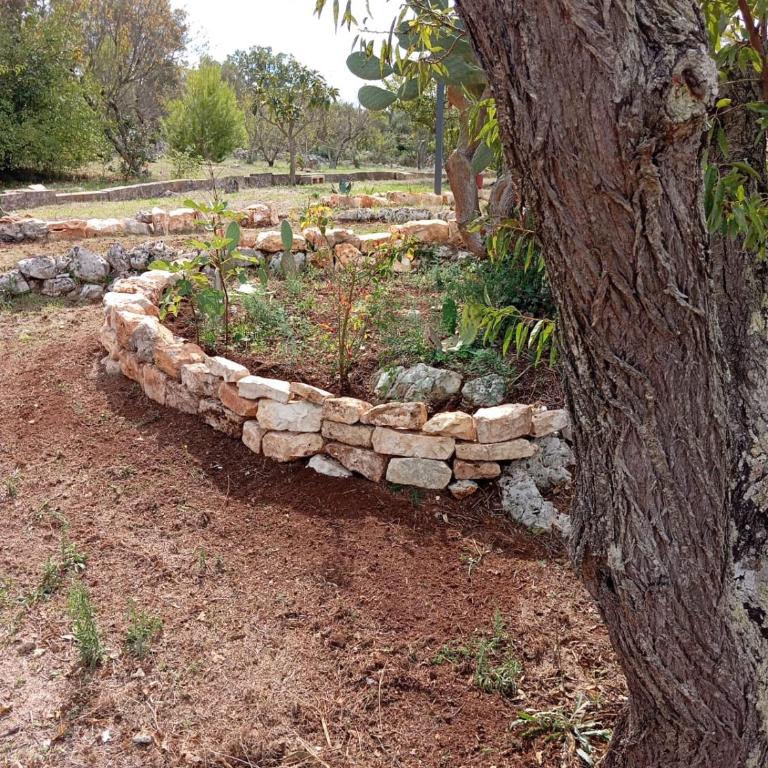 Trullo Amedee - Casa con 2 Camere da Letto - 29