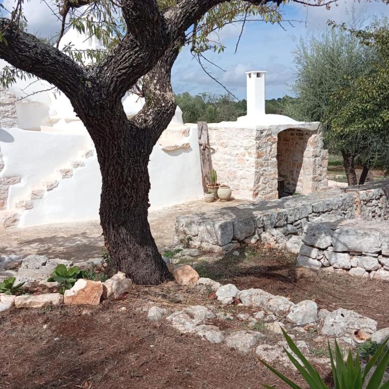 Trullo Amedee - Casa con 2 Camere da Letto - 30