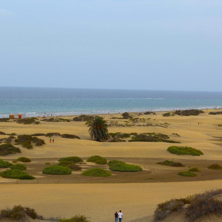 Sunrise Maspalomas by Privilege - One-Bedroom Apartment - 5