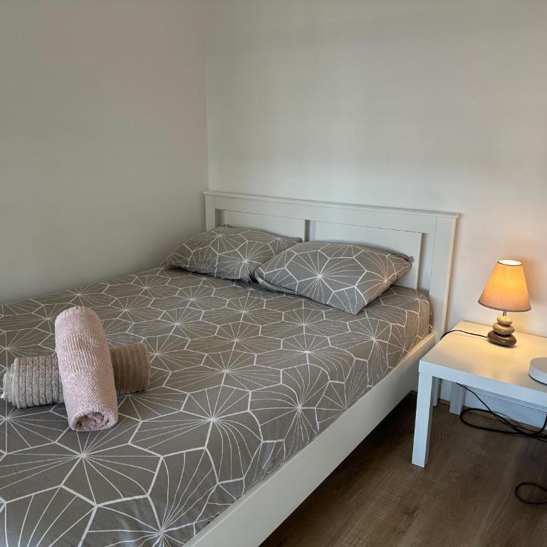 Beautiful apartment 10 minutes from the Eiffel Tower - Appartement 1 Chambre - 7