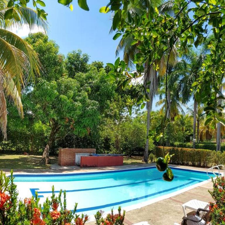 Palmary Tropical - Villa - 38