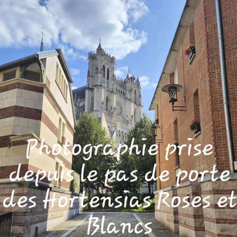 Les Hortensias Blancs Studio - Apartamento de 1 dormitorio - 1