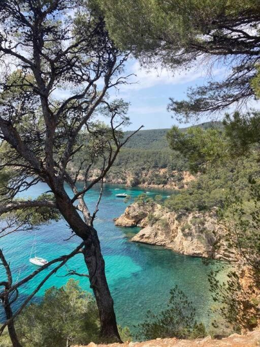 Le Cap Marlou, vue mer exceptionnelle - Apartment mit 2 Schlafzimmern - 10