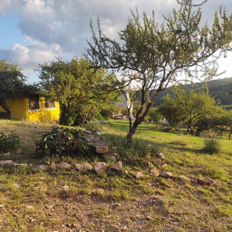 vistas del valle casa amarilla - Casa de 2 dormitorios - 24