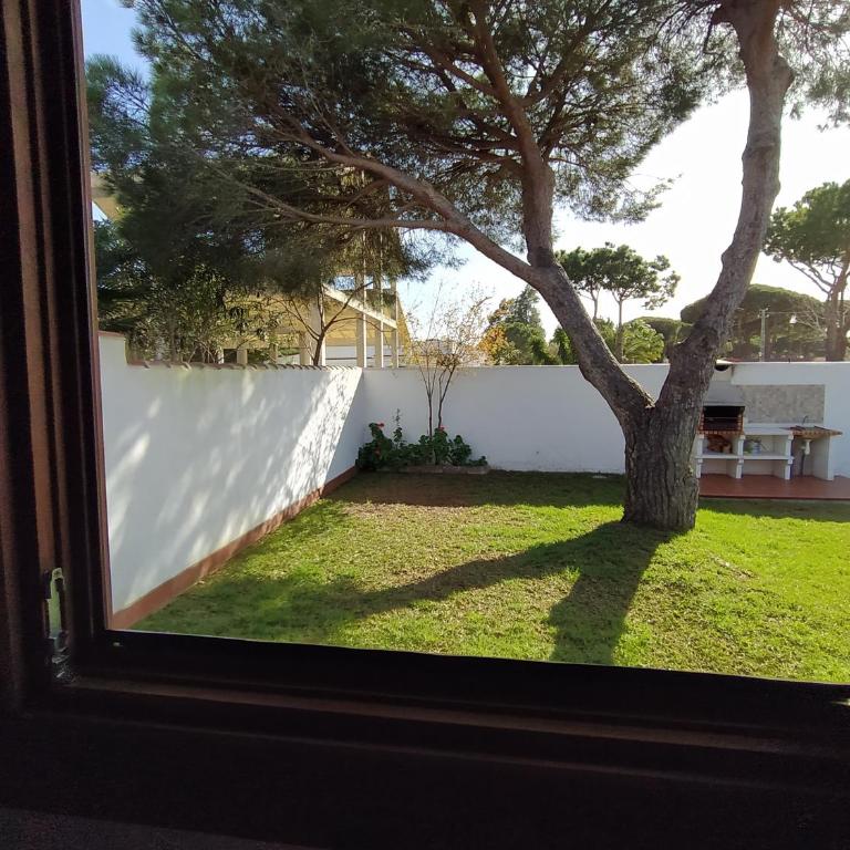 El Vivero - Casa - 29
