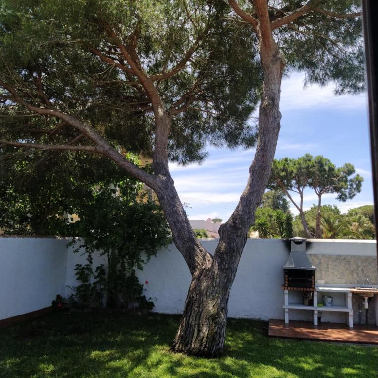 El Vivero - Casa - 7
