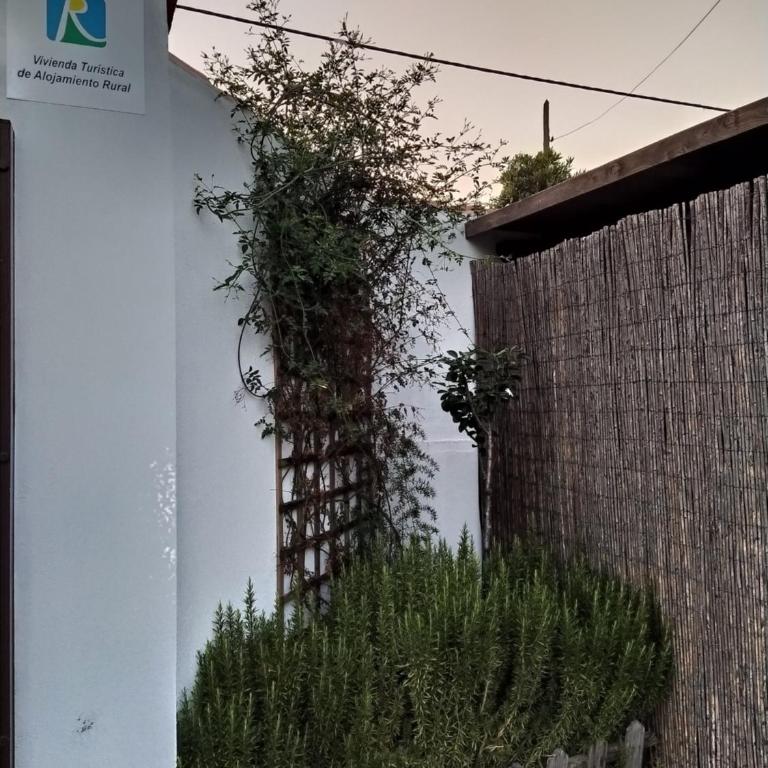 El Vivero - Casa - 16