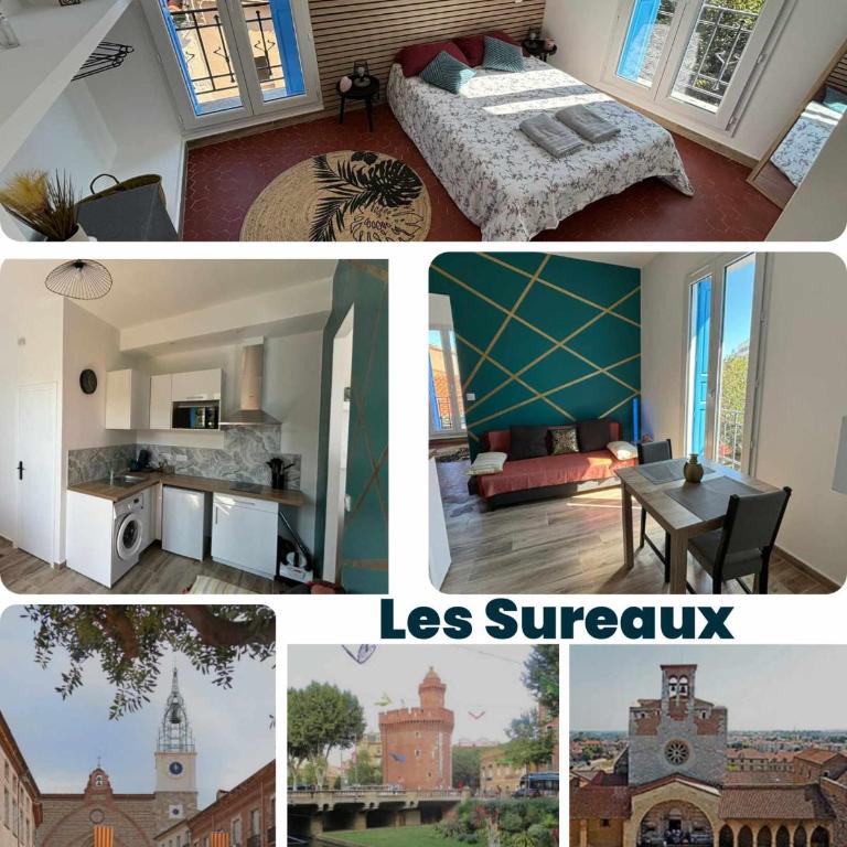 Les Sureaux - Hyper-Centre - Design & WiFi - Idéal Visite Perpignan - Appartement 1 Chambre - 5