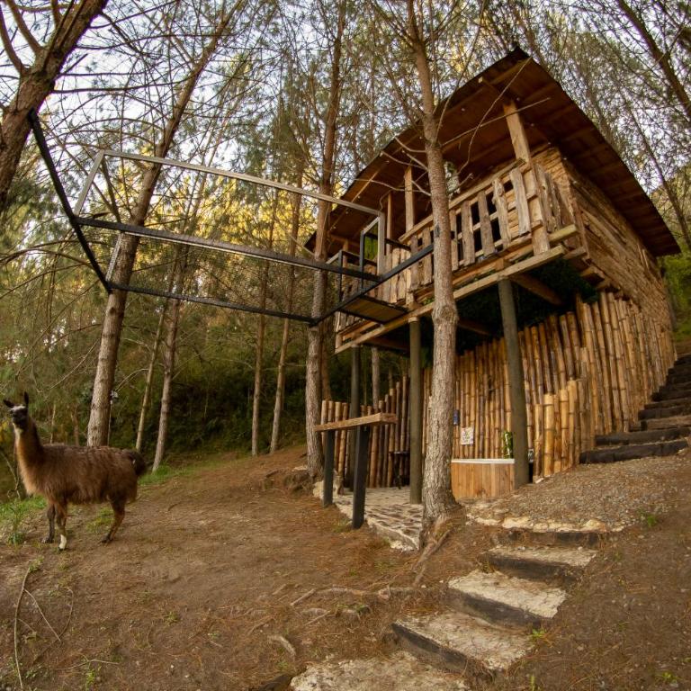 Refugio Natural Guarne - Chalet Superior - 3