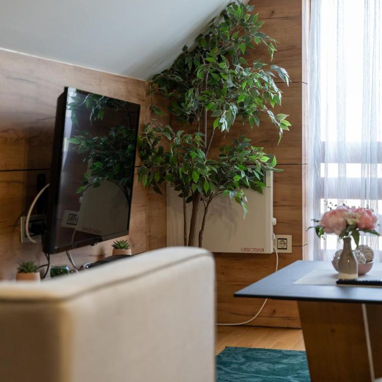 ZlatiborView Apartment 2 - One-Bedroom Apartment - 3